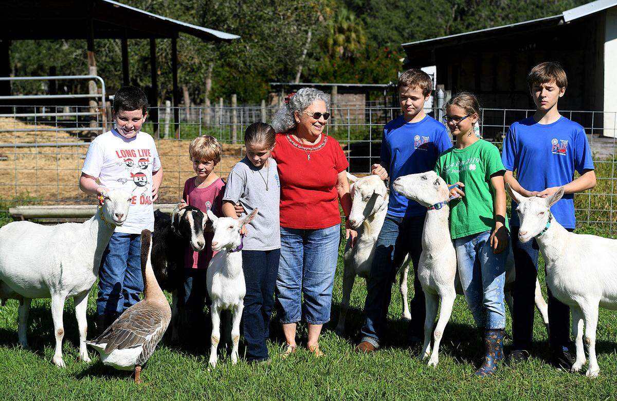 11/03/21—Judy Anderson has been named as this year’s Manatee County Agriculture Hall of Fame inductee for her work with dairy goats. Anderson has shared her knowledge and love for the creatures with children over 30 years through the 4-H Club.