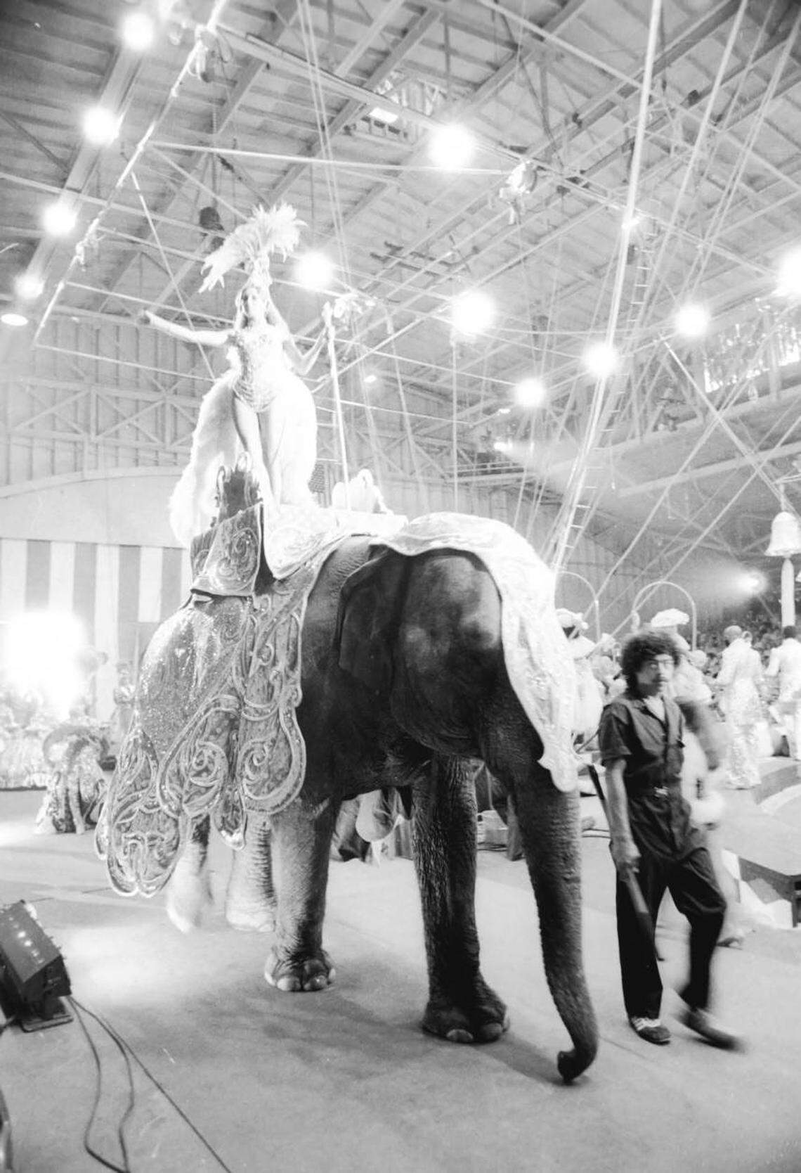 A performer standing on an elephant leads the around-the-ring parade at the circus in Venice.