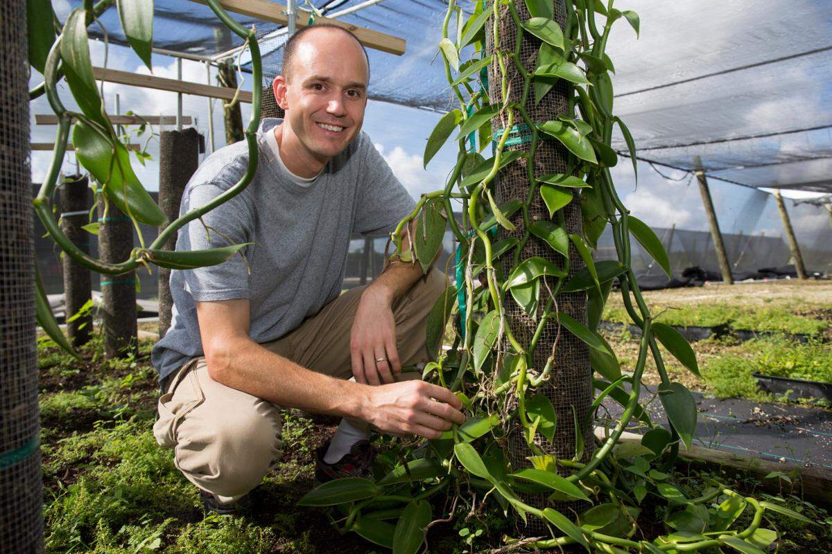 Pictured: Alan Chambers at the Tropical Research and Education Center (TREC) in Homestead, Florida, in October 2017.