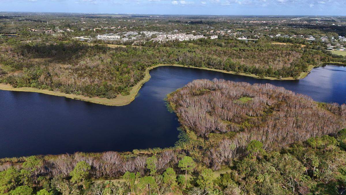 Manatee County commissioners approved a developer’s request to release about 10 acres of conservation easements along Cooper Creek in the University Park area.