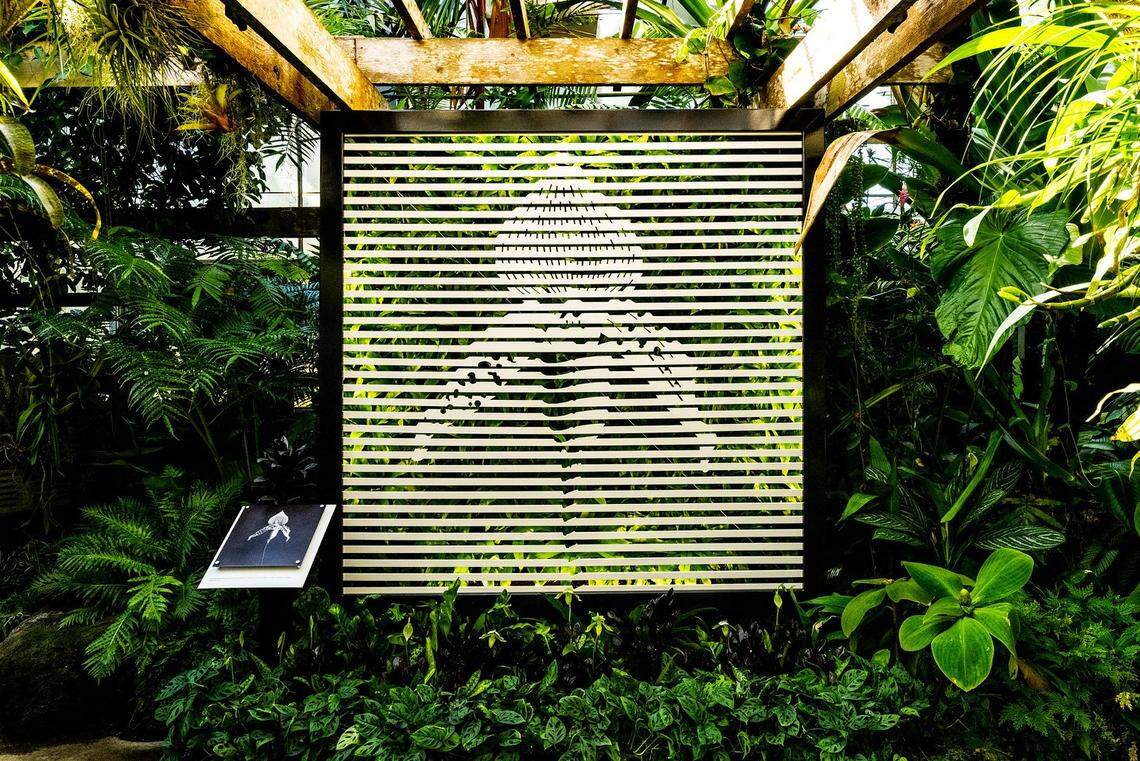 A new exhibit at Selby Botanical Gardens in Sarasota titled “Flowers, Poetry, and Light” ties together the work of two renowned contemporaries: photographer Robert Mapplethorpe and musician and writer Patti Smith.