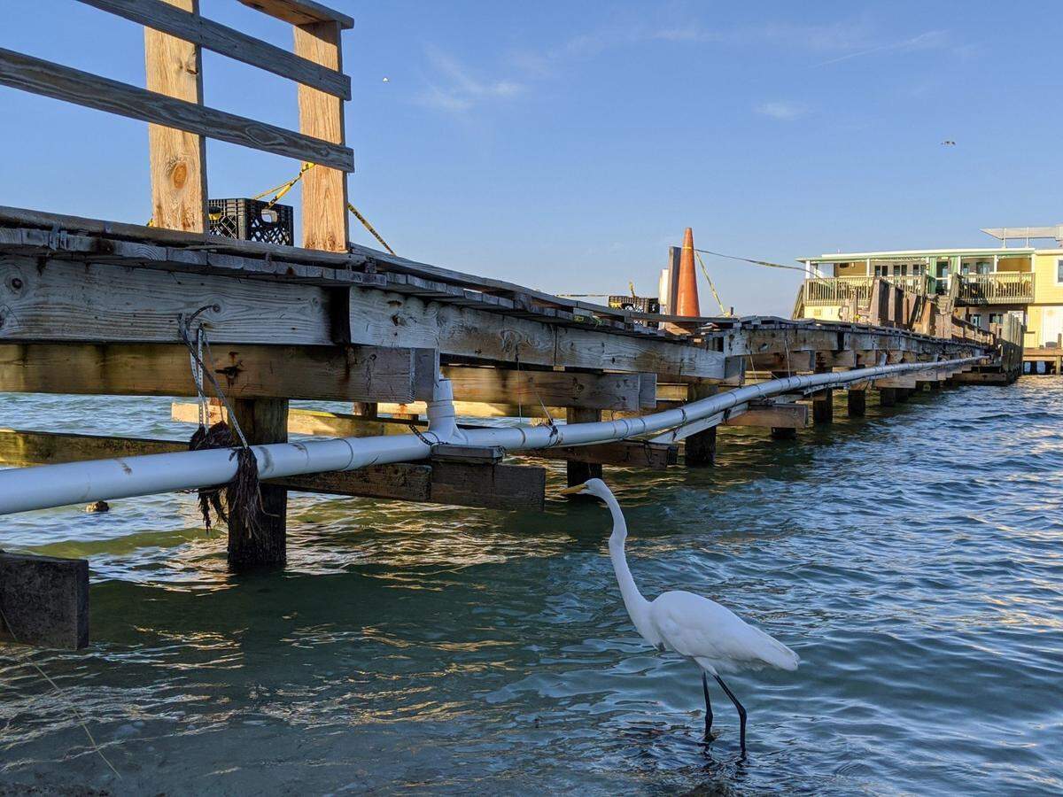 The Rod and Reel Pier was temporarily closed due to a partial collapse of the walkway in November 2019.