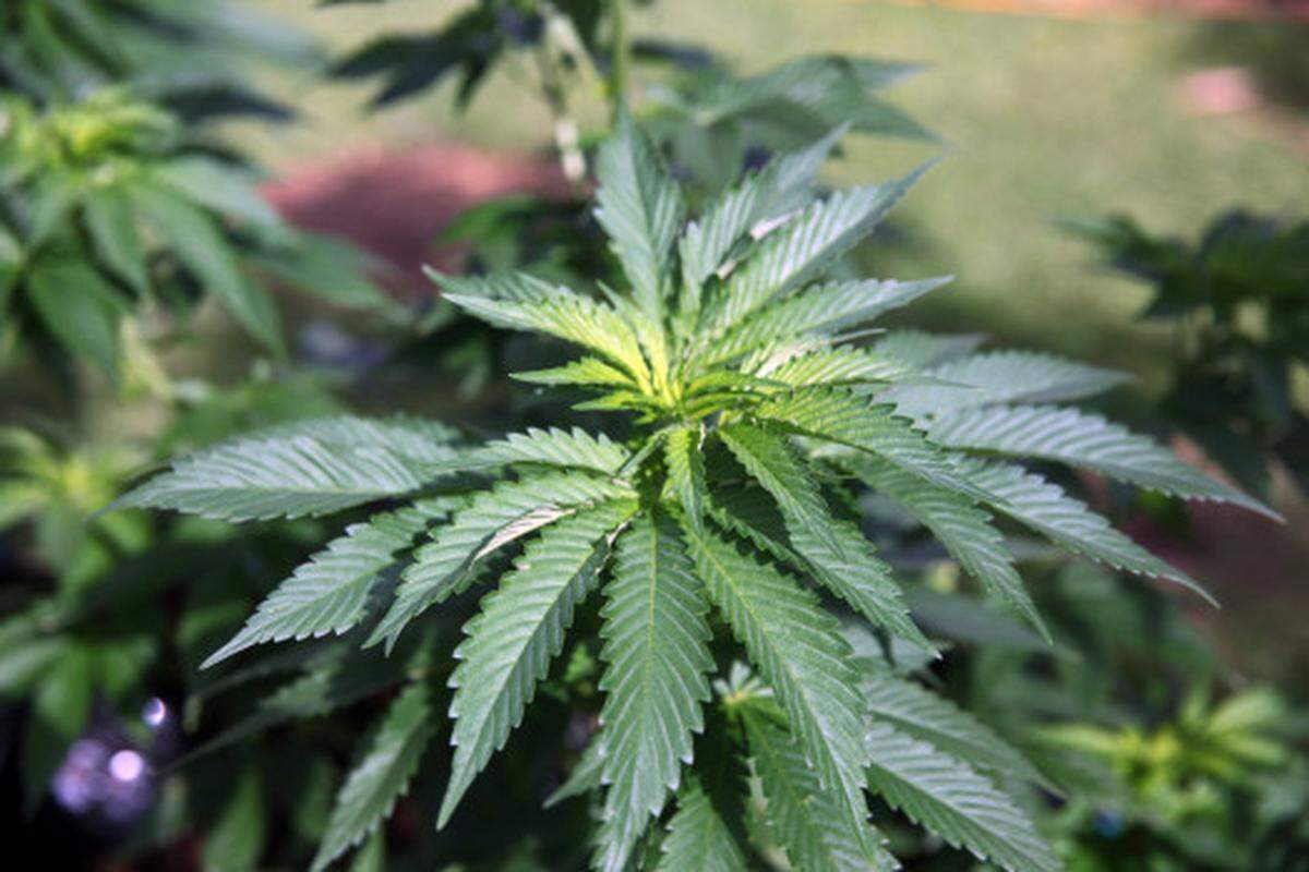 There are serious constraints for the U.S. marijuana industry, particularly with onerous federal regulations about how banks can interact with those businesses.