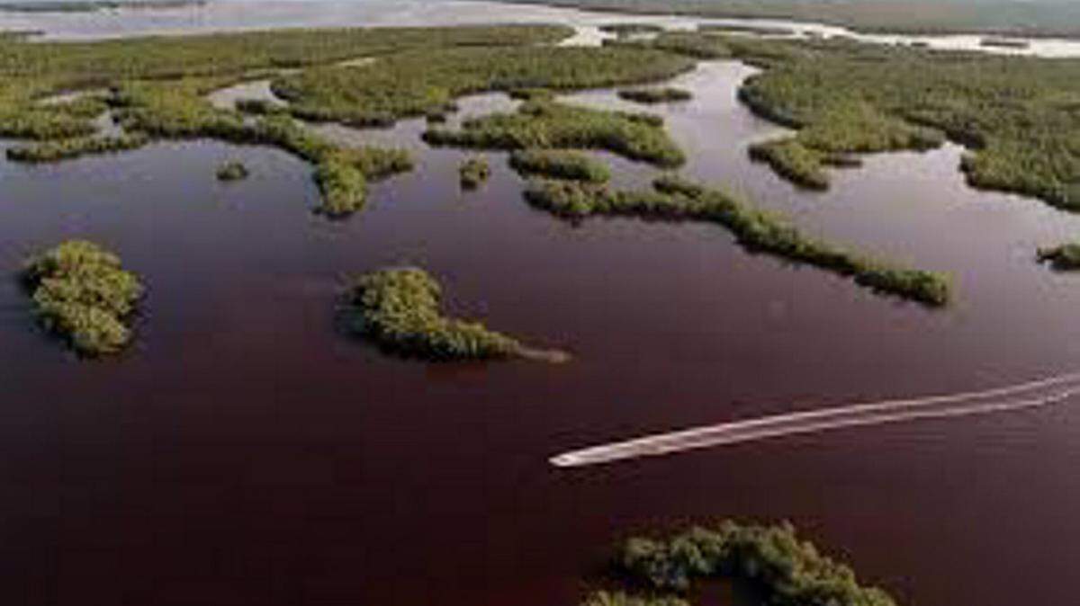 Florida Senate leaders rejected a budget amendment Wednesday to restore $222.5 million to the Florida Forever land-buying program left threadbare since the Great Recession, with Bradenton politician ruling the amendment "out of order" because it would leave the Senate's proposed budget out of balance. 
 MIAMI HERALD