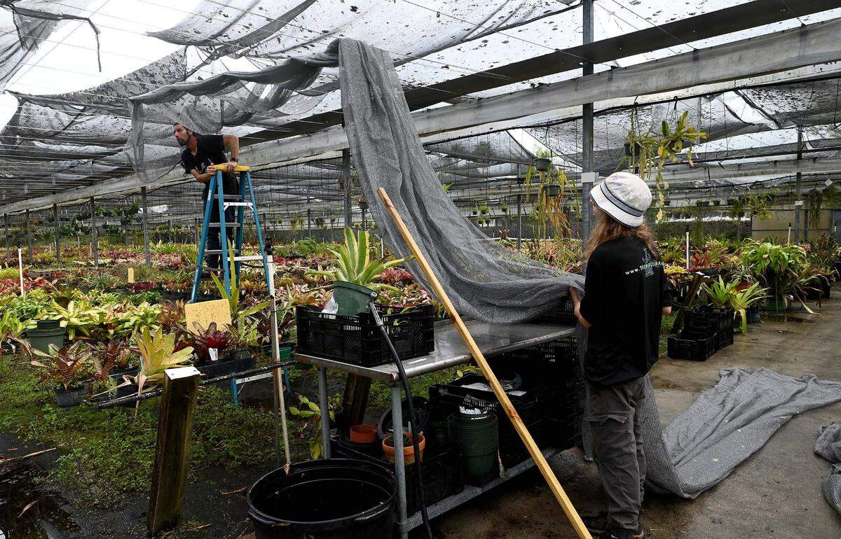 Frank Smith and Tyler Coffman work on repairing the shade covers on grow houses at Tropiflora, a major grower of bromeliads.