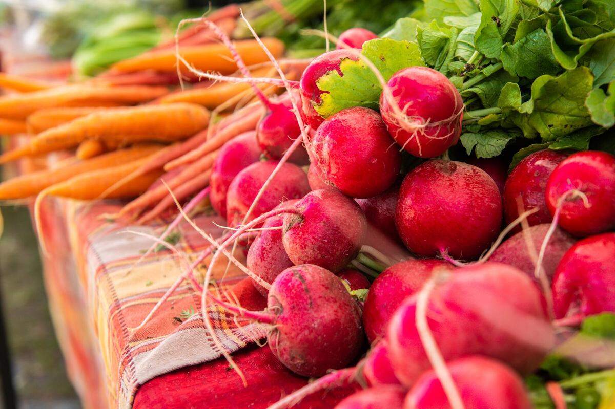 The Market at Lakewood Ranch happens every Sunday from November through April on the campus of Lakewood Ranch Medical Center.