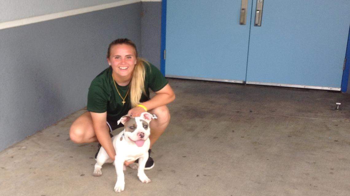 Bayshore pitching ace Miriam Schmoll credits her puppy 'Juice' for her comeback season 