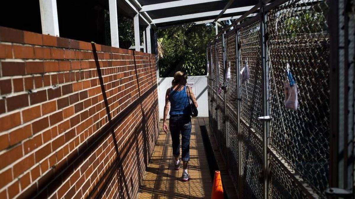 The no-kill Bishop Animal Shelter has been approved for a major expansion project.