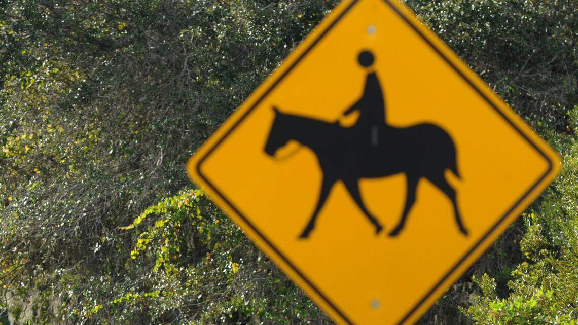 Here’s what drivers should do when approaching a horse and rider on the road