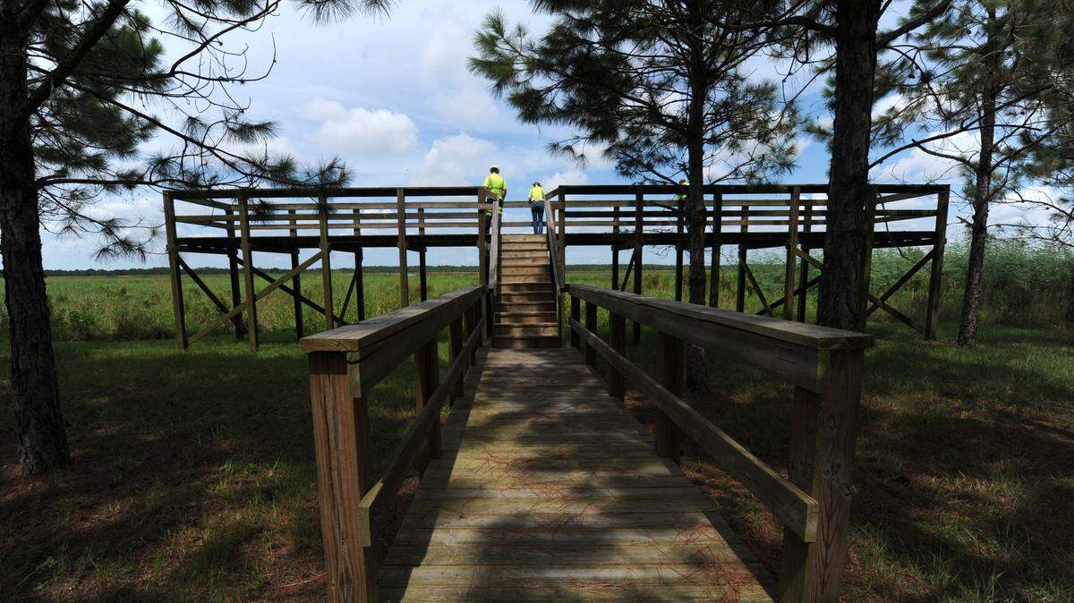 An overlook has been built to view a section of NFN (1), a reclaimed 517-acre wetland and part of the Four Corners Mine in East Manatee County. Mosaic is seeking permission to expand its mining operations at its Wingate East site, west and east of Duette Road. 
 GRANT JEFFERIES/Bradenton Herald