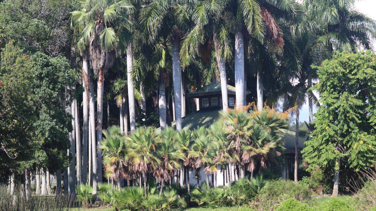 Hit by the loss of most of their event revenue because of cancellations stemming from the COVID-19 pandemic, the board of directors of Palma Sola Botanical Foundation is trying to raise $25,000 to pay bills through the end of the year.