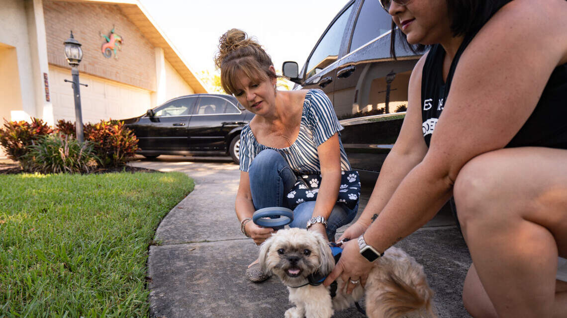 Manatee County free microchip program aims to put an end to lost pets, packed shelters