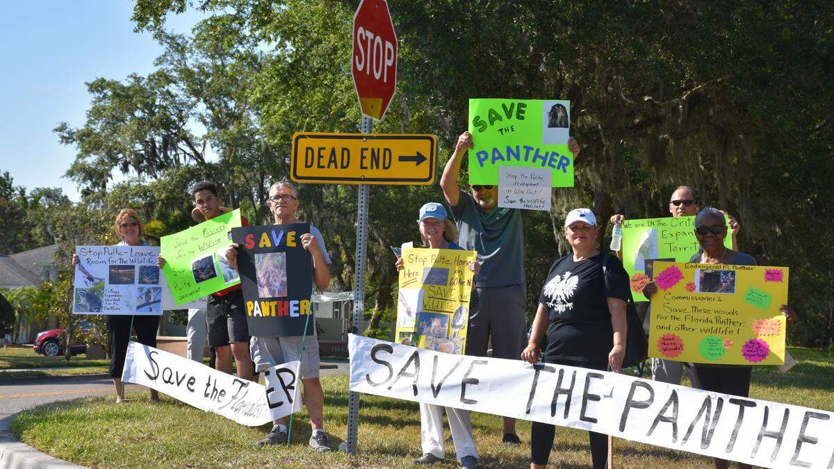 05/28/21--Several residents participated in a protest on the corner of 60th Avenue East and 29th Street East on Friday afternoon. Neighbors say a planned development would destroy an Old Florida jungle that is home to several wildlife species.