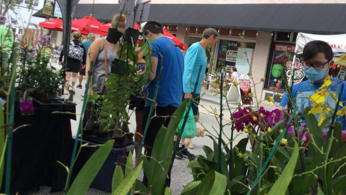 Market goers look over fresh flowers at the downtown Bradenton Farmers’ Market, which kicked off a new season with a focus on safety during the ongoing coronavirus pandemic.