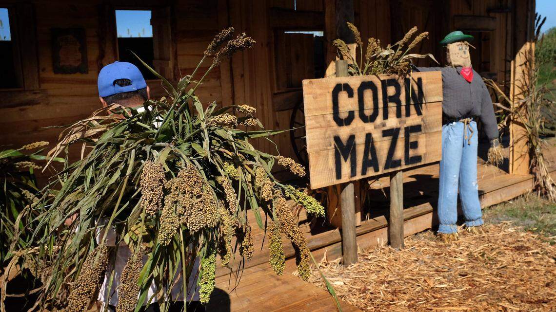 Here are all the fall 2022 Halloween festivals and events in Bradenton, Sarasota