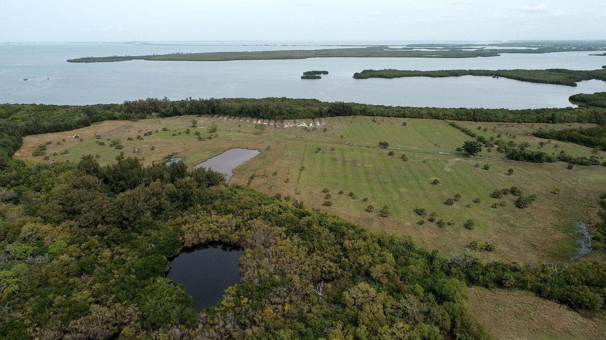 Manatee County Government purchased 98 acres next door to Emerson Point Preserve in Palmetto last for an expansion of the public park.