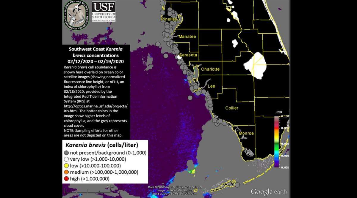 A water sample collected in Sarasota County waters revealed very low concentrations of the organism that causes red tide. One background level sample was taken in Manatee County waters. 