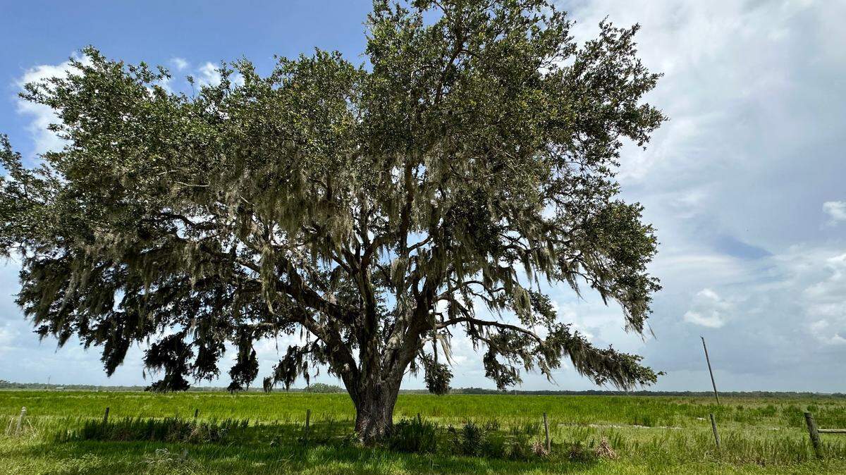 Developers recently filed plans for&nbsp;Miakka Golf Club with Manatee County Development Services for a&nbsp;golf course at 12950 MJ Road on a 685-acre parcel owned by Terranova Preserves LLC