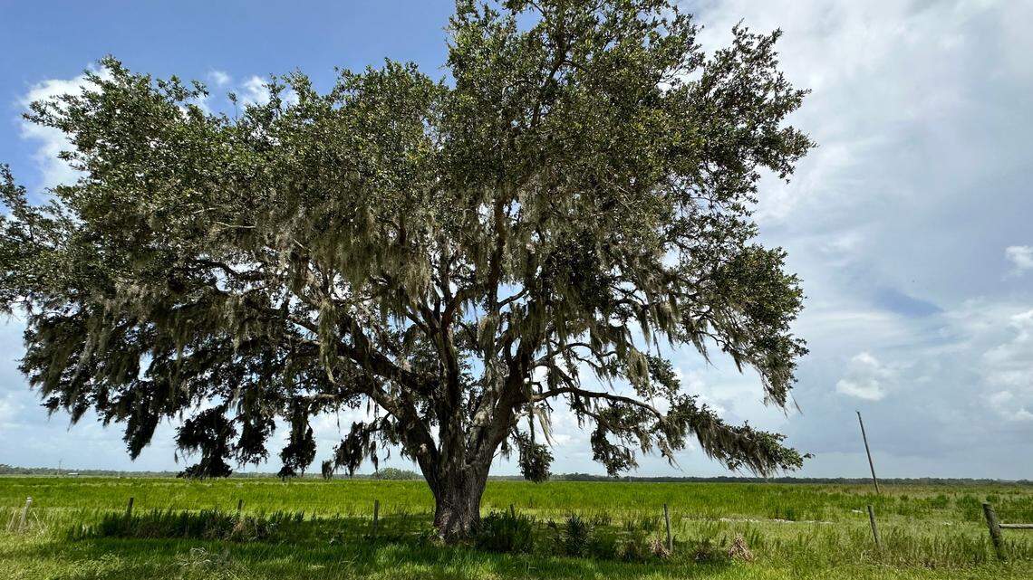 A second new golf course is planned for Myakka City. PGA Champion Azinger is a partner