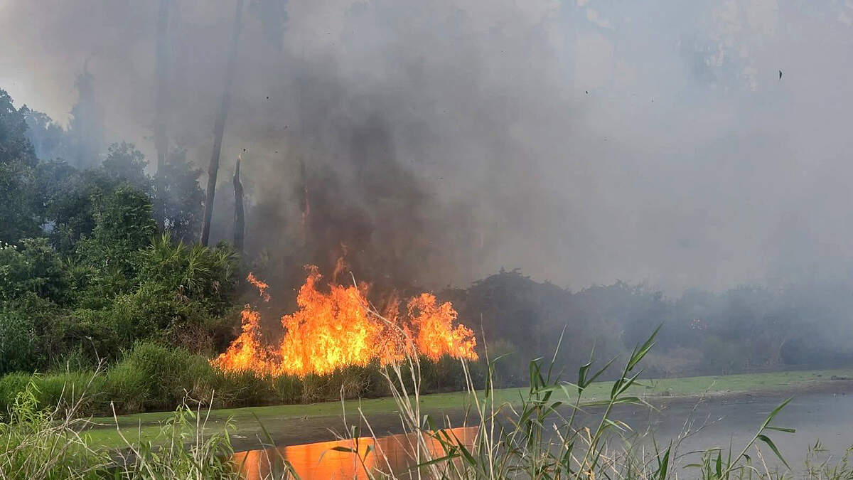 Duette Fire Rescue fights a fire that started as a controlled burn in Duette Preserve. An ember jumped to a neighboring property and ignited, but fire officials say the blaze is under control.