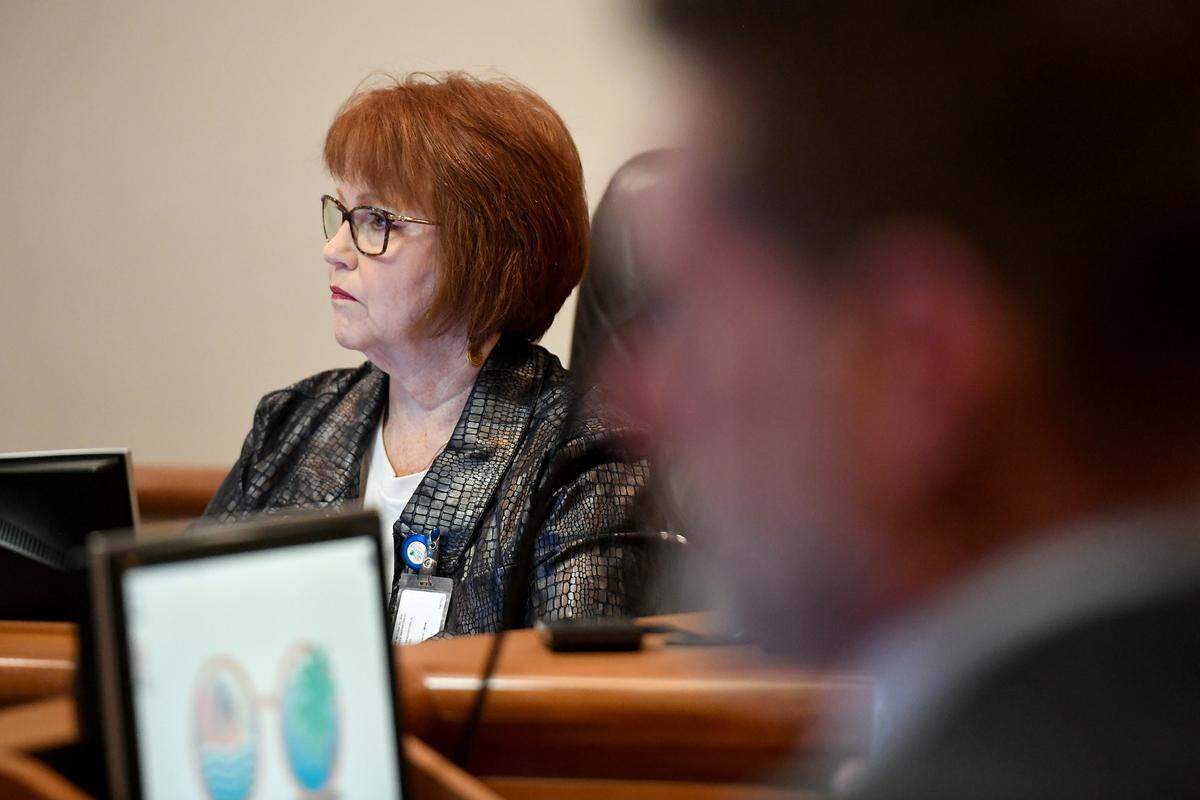 Councilwoman Marianne Barnebey during a Bradenton council meeting on Wednesday morning.