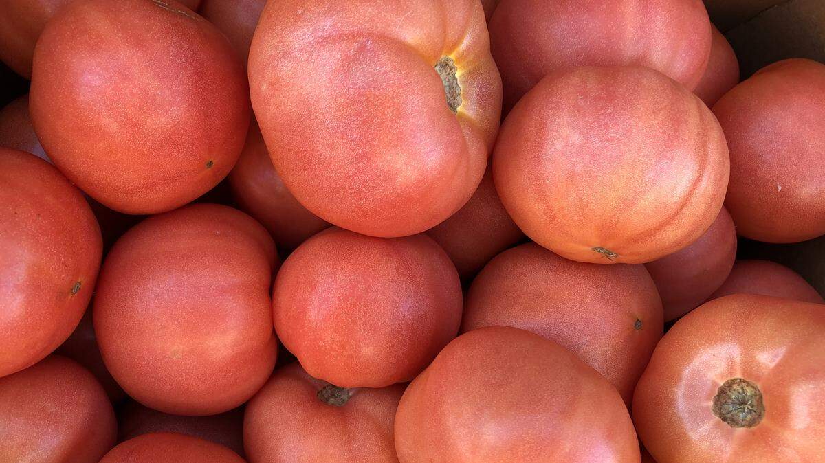 County extension agents in Manatee and Sarasota counties are working to connect growers with consumers after the coronavirus pandemic collapsed much of the produce market.