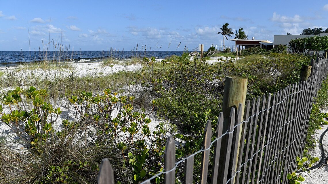 What is red tide doing to businesses on Anna Maria Island? | Bradenton ...