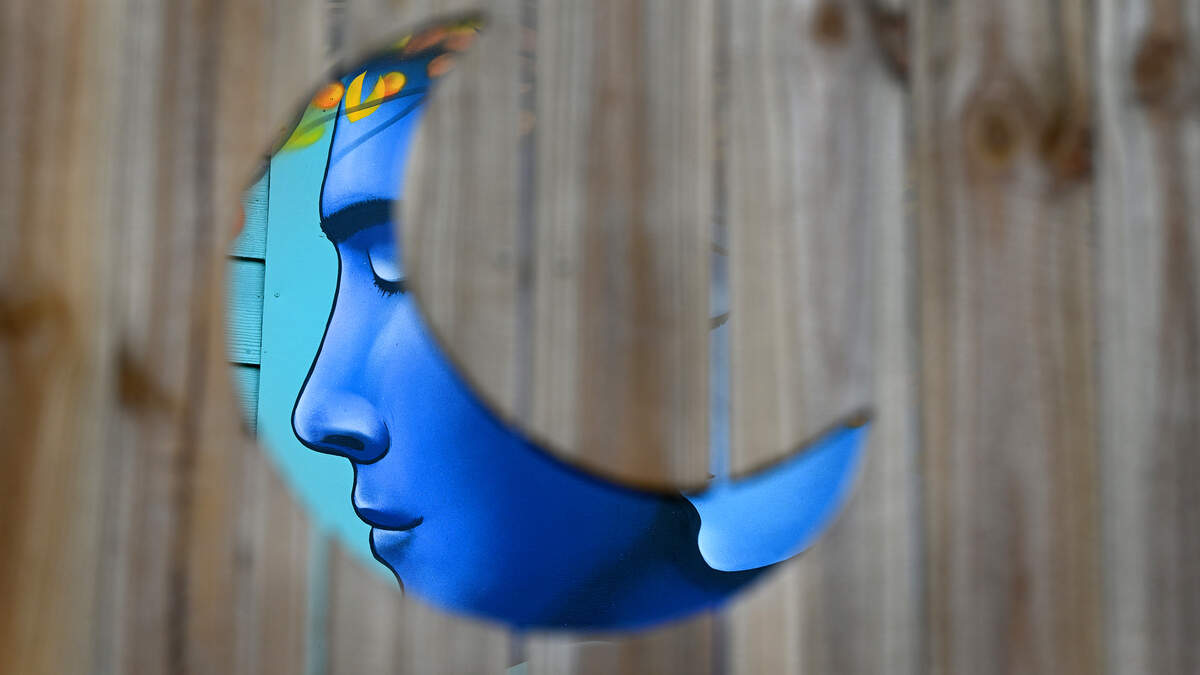 The Village of the Arts in Bradenton is holding a WonderWall Mural Fest to celebrate arts and connect with the community on March 7, 2026. A mural through a fence cutout on Feb. 26, 2026.