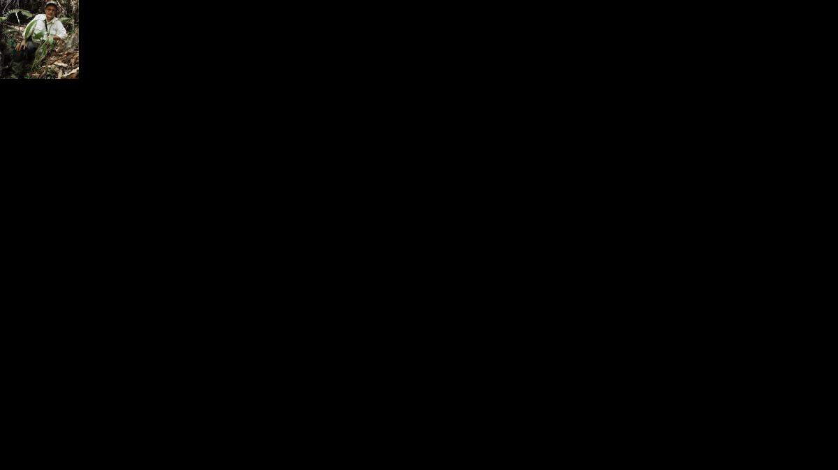 Stig Dahlstrom
