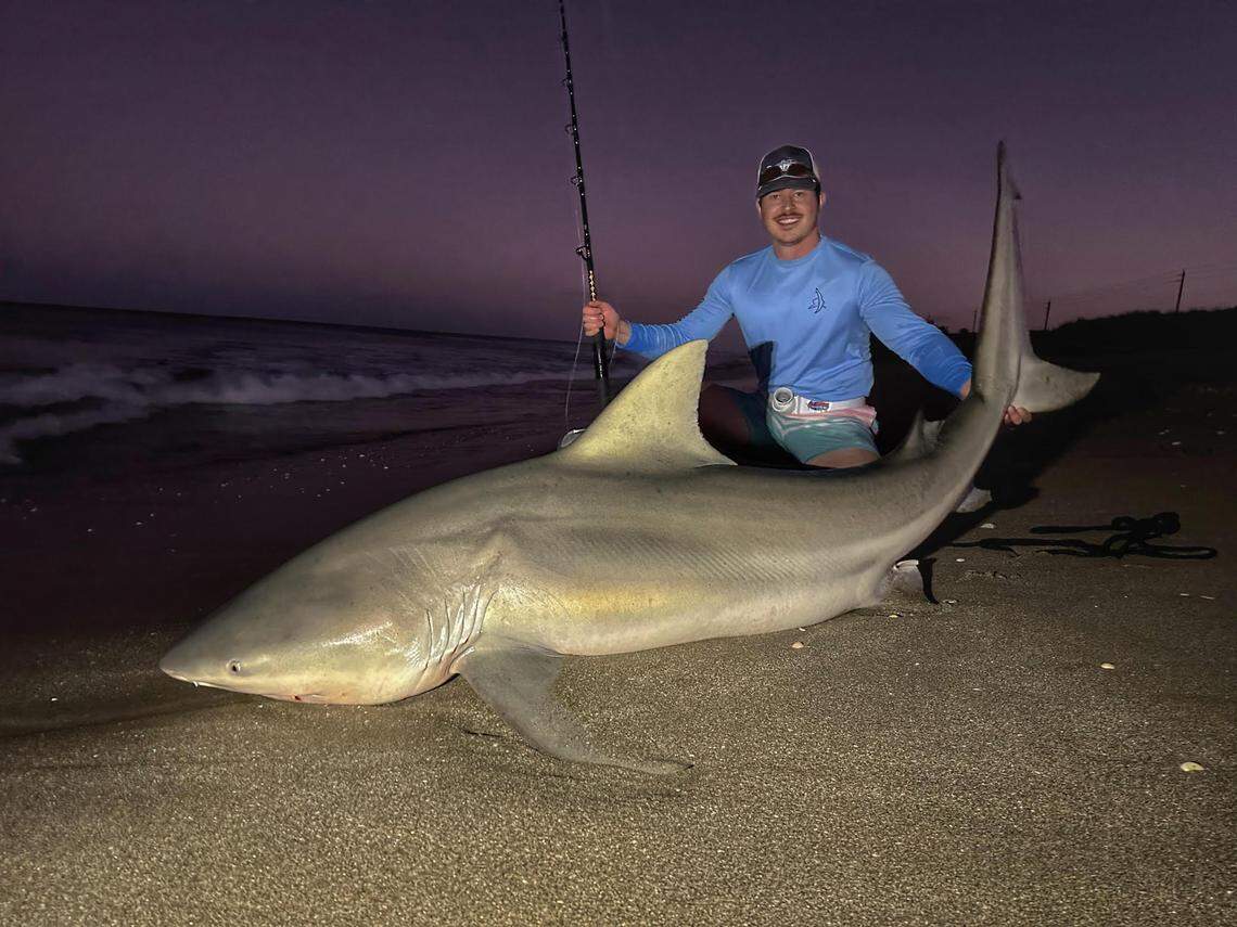 Michael Hengel, 22, of Bradenton, poses with a bull shark he caught while land fishing in Miami on Sunday. He estimates the shark is over 550 pounds.