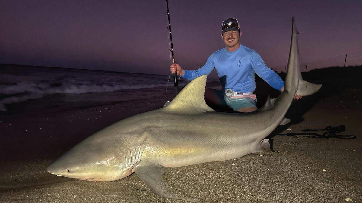 Michael Hengel, 22, of Bradenton, poses with a bull shark he caught while land fishing in Miami on Feb. 12, 2023. He estimates the shark is over 550 pounds.