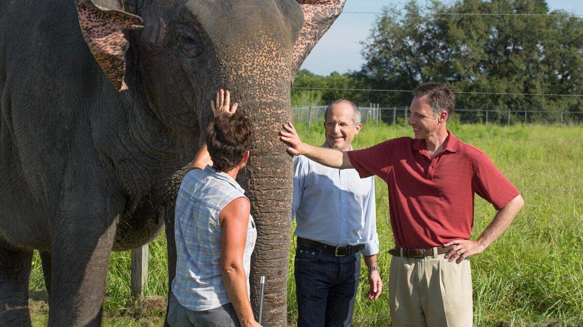 Feld Entertainment' Chairman and CEO Kenneth Feld, center, and children's cancer doctor Joshua Schiffman, right, watch an elephant handler communicate with one of her elephants recently at Feld Entertainment's Center for Elephant Conservation near Orlando. For the past several years, some Feld elephants have also donated blood for cancer research. 
 PROVIDED PHOTO