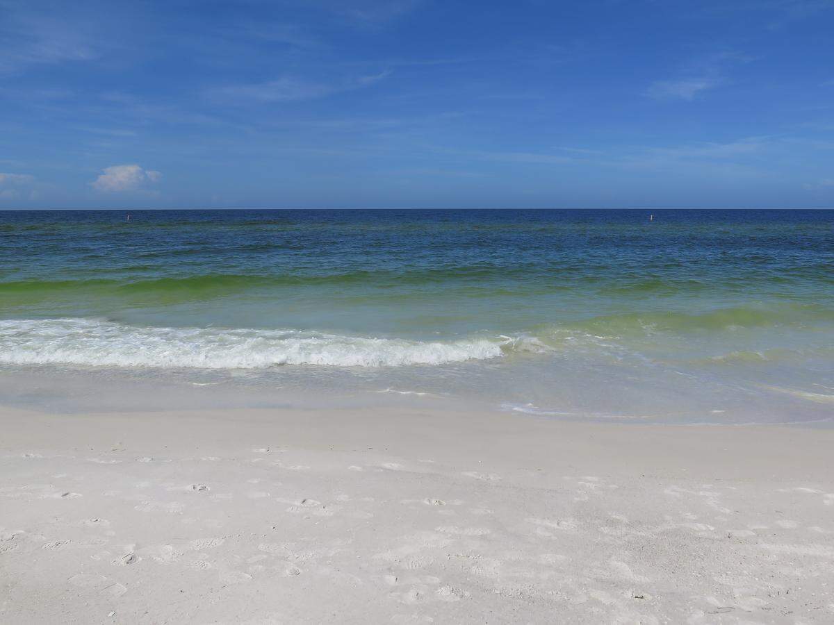 A slight reprieve of red tide was present at Manatee Public Beach on Anna Maria Island on Wednesday as people swam in the Gulf which had noticeably clearer water than in recent days.