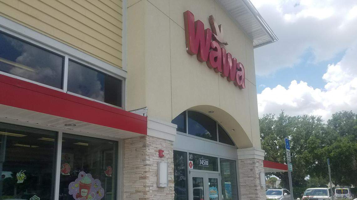 Two men dropped off a three-foot alligator inside the Wawa convenience store, 14510 State Road 70 East in Lakewood Ranch early Friday morning.