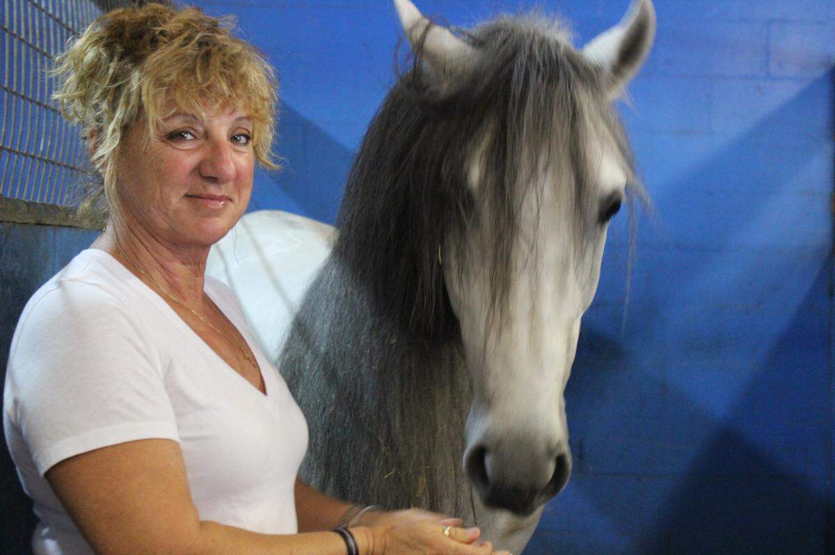 2/18/2013--Gabriella Herrmann is shown with a seven-year-old stallion, Achilles, whose luxuriant mane still had not turned white in 2013.