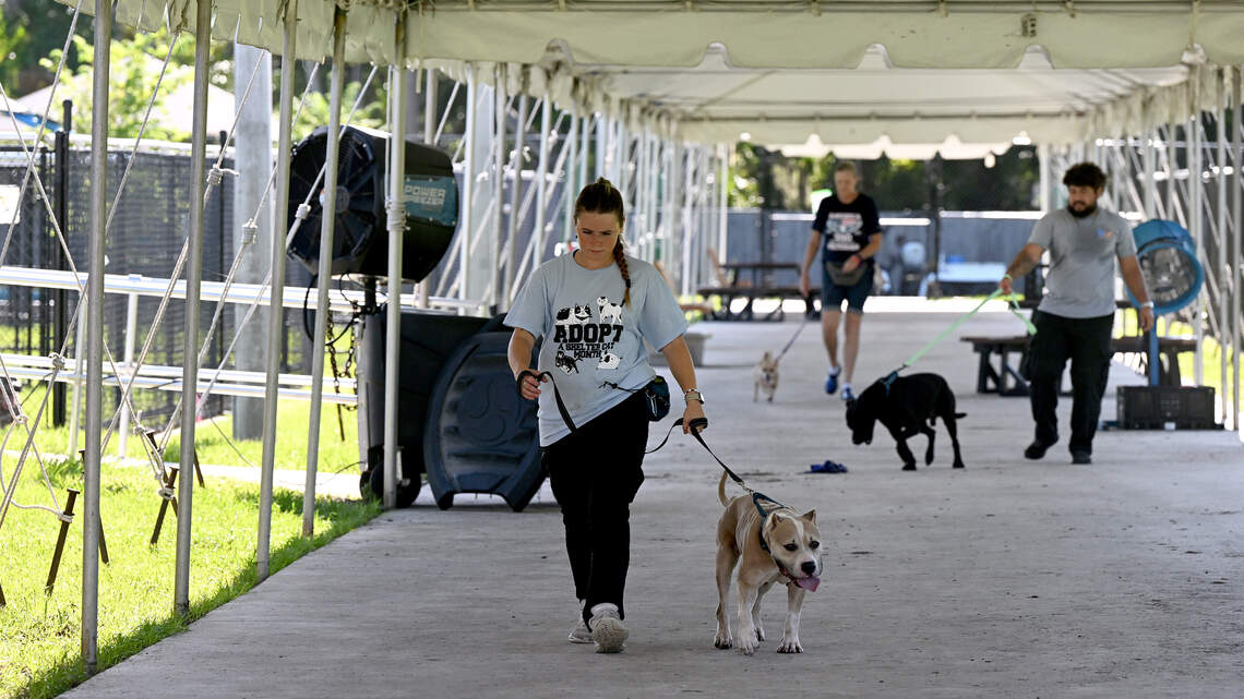 Manatee officials deliver small win for Bishop Shelter, but delay talks of full rebuild
