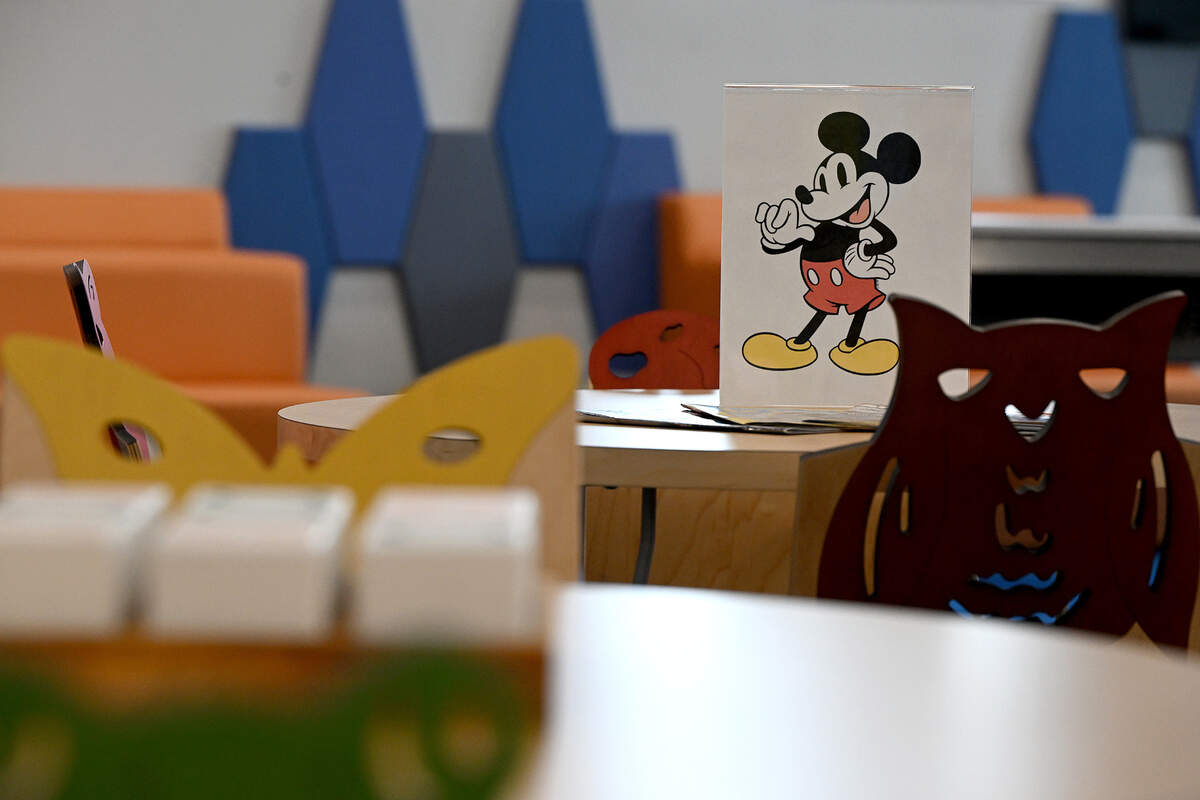 The Lakewood Ranch Library at 16410 Rangeland Parkway will open Friday, Jan. 12, 2024. The county’s newest library’s children’s area features an outdoor area for play and activities.