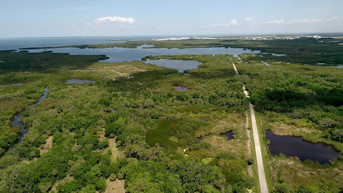 Drone shot just south of Seaport Manatee. Bishop Harbor is the large waterway.