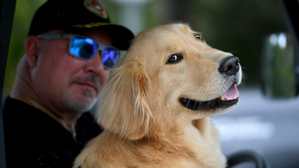 11/11/21—Christian Ulanch, USMC, and his dog, Joe DiMaggio in the City of Anna Maria’s Old Soldiers and Sailors Veterans Day Parade.