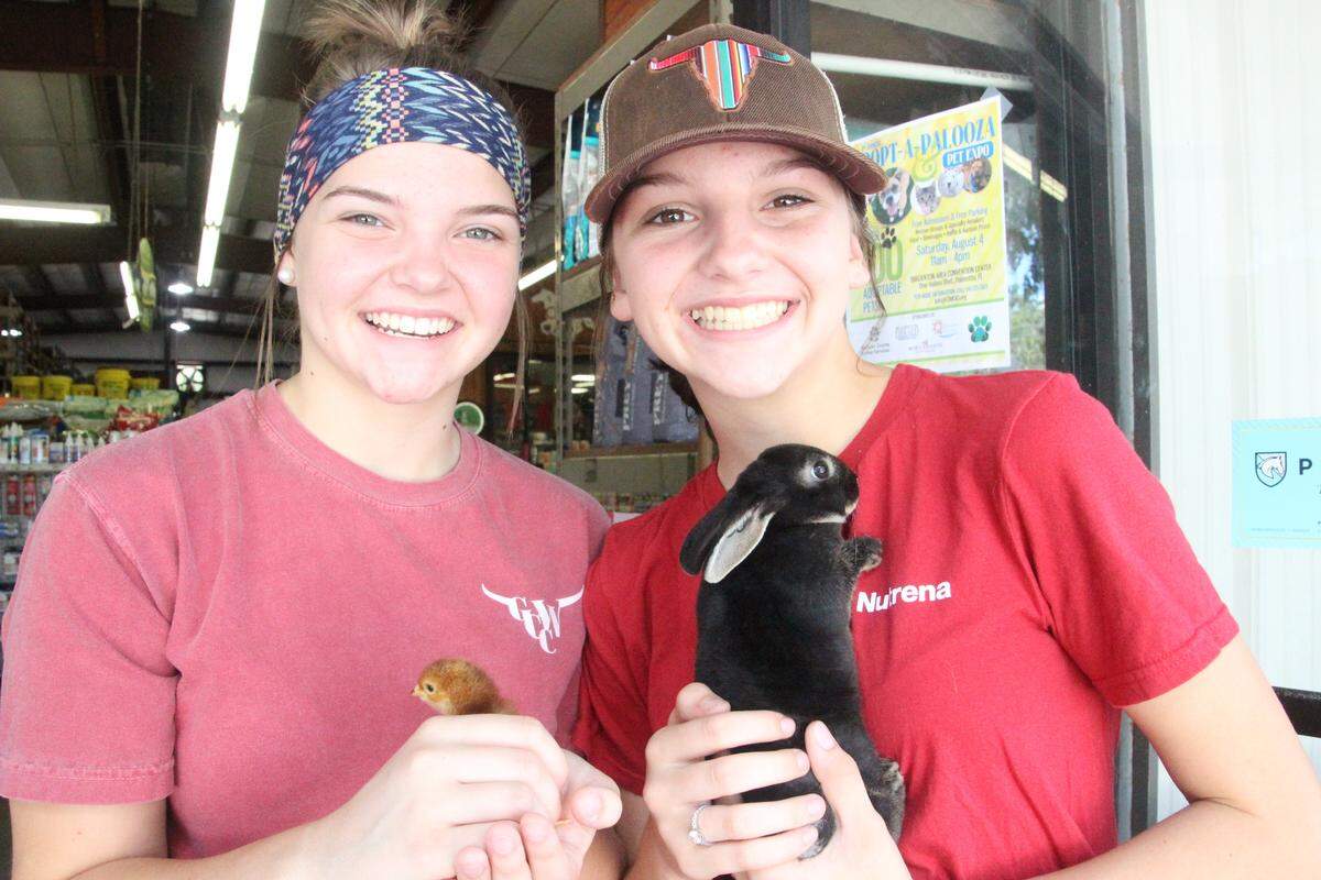 Shelbie Davis, 16, and her sister, Shaylynn, 13, hold a chick and a rabbit, respectively, at Come See Come Sav, 505 301 Blvd. E., Bradenton.