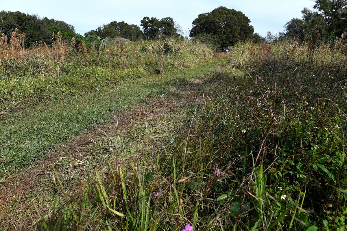 The Manatee Board of County Commissioners gave the green light to two separate affordable housing projects at Thursday’s Land Use meeting, one of them at this property on 32nd Avenue East.
