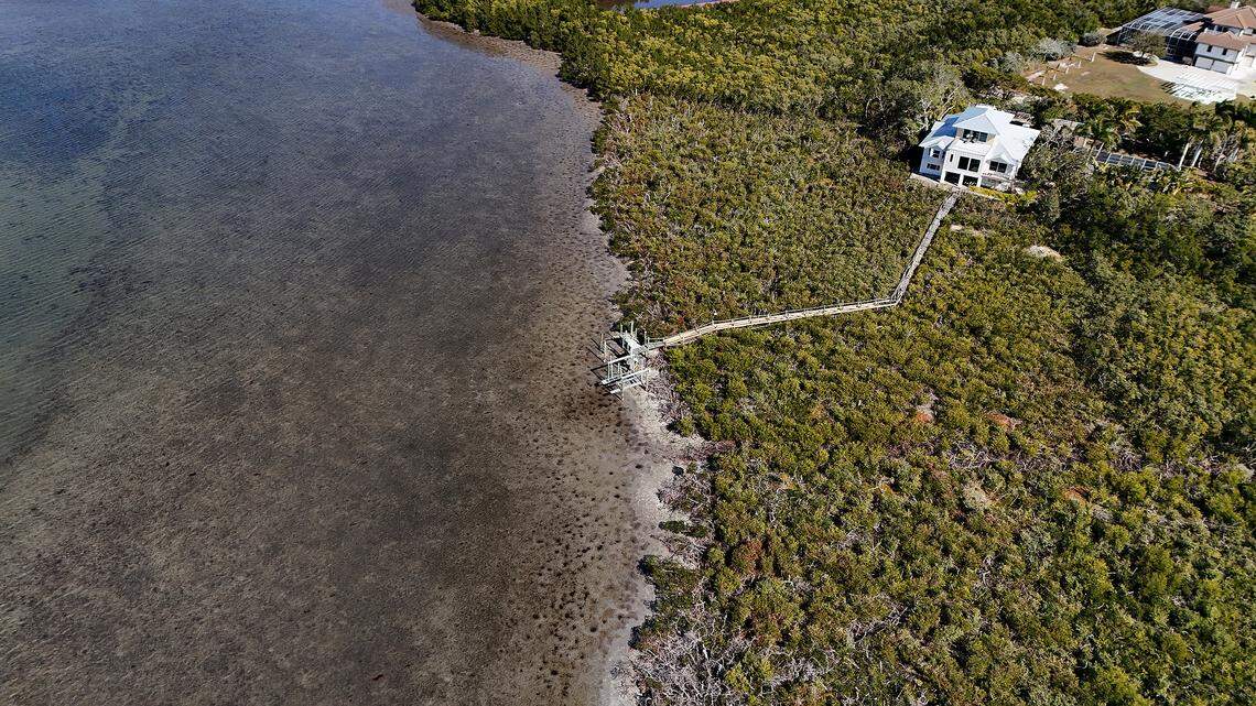 Custer Bayou overlooks the Knott-Cowen Tract, where SSA Marine and Slip Knott LLC proposed to build a new cruise ship port. Many residents are strongly opposed to the plans. Kathryn Sole’s home, shown here, would be facing the area where the port is planned. Photo taken Jan. 20, 2026.