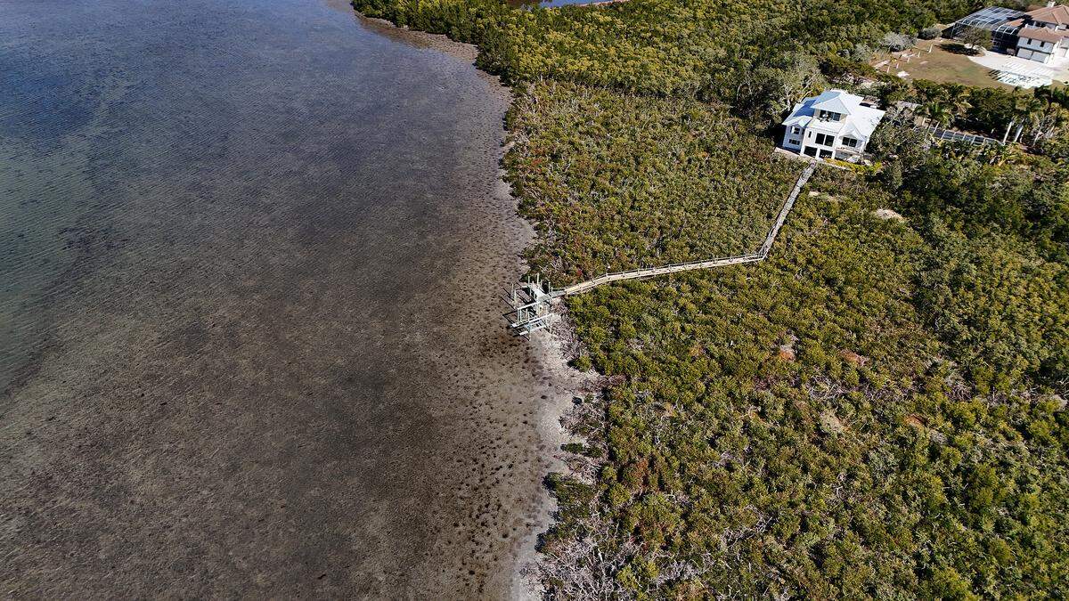 Custer Bayou overlooks the Knott-Cowen Tract, where SSA Marine and partner Slip Knott LLC plan to build a new cruise ship port. Some residents are strongly opposed to the plans. Kathryn Sole’s home, shown here, would be facing the area where the port is planned. Photo taken Jan. 20, 2026.