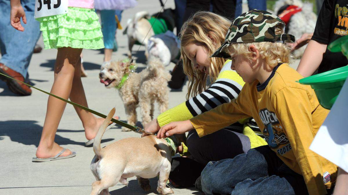 Youngsters enjoy the four-legged participants as they pass by during the Lucky Dog Parade at the Irish Celtic Festival at Lakewood Ranch.HERALD FILE PHOTO
