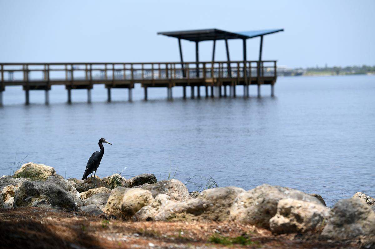 The Riverwalk expansion east trails past the ShoreView Apartments, ending at a new imagining of the Mineral Springs Park in Bradenton. A pier with a covered area reaches into the Manatee River, with a black heron in the foreground.