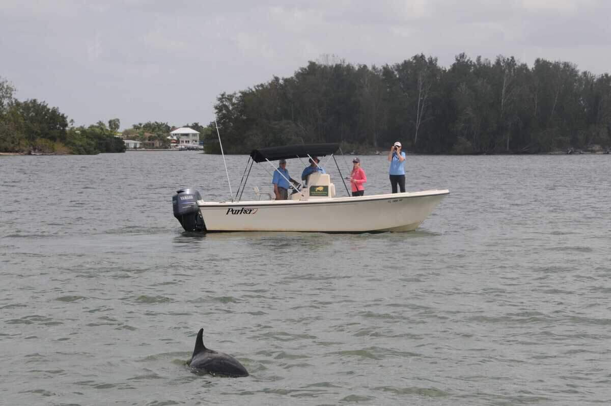 Sarasota Dolphin Research Program team members observing Scrappy in 2017. Team members include (from left) Randy Wells, Jason Allen, Leslie Hart and Katie McHugh.
