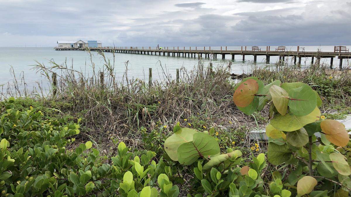 The City of Anna Maria will host a COVID-19 mobile vaccination clinic 10 a.m.-6 p.m. Tuesday, May 25, in the Anna Maria &nbsp;City Pier Park at 101 North Bay Blvd., across from the City Pier.&nbsp;