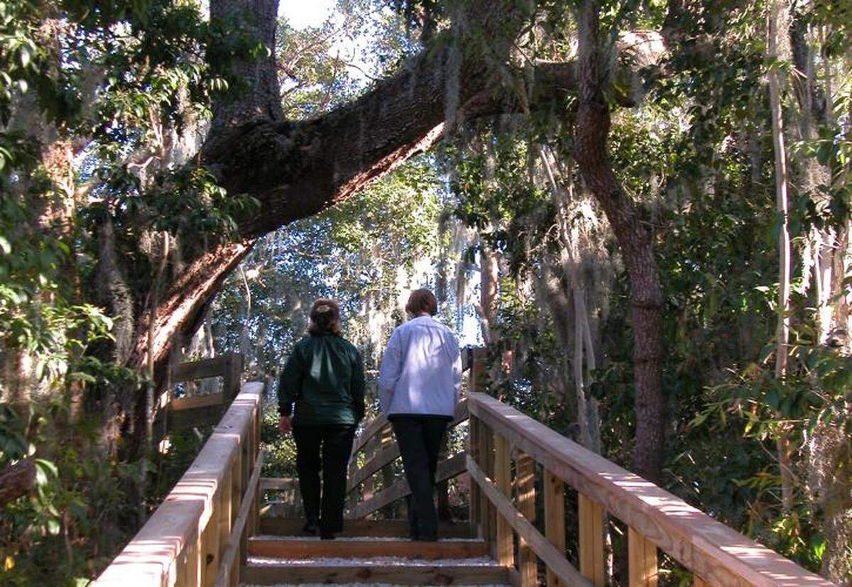 Learn about the Native American cultures that previously occupied the Gulf Coast of Florida at Madira Bickel Mound State Archaeological Site in Terra Ceia.