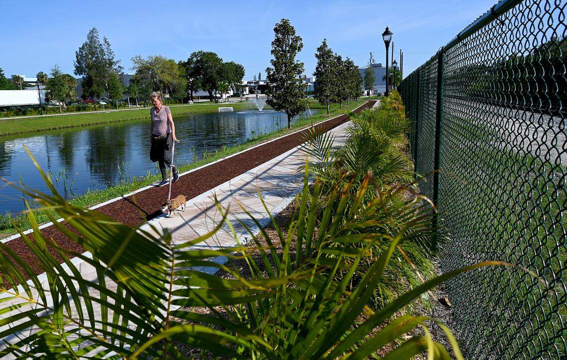 A dog walker enjoys at Connor Park in Palmetto. The land was a brownfield remediation, and now provides filtering of runoff water in the area.