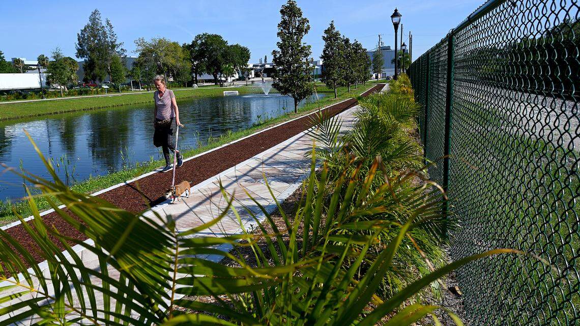 A dog walker enjoys the new Connor Park in Palmetto. The land was a brownfield remediation, and now provides filtering of runoff water in the area.